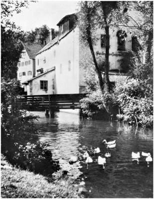 Moosburg Burgermhle, Idylle am Mhlbach - 1975