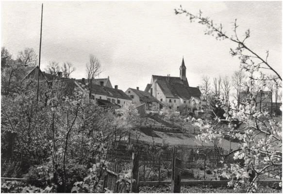 M�nchnerstrasse - G�rten der Michaeli-Siedlung im Fr�hling