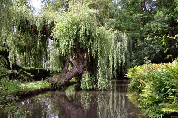 Moosburg, Idylle am Mhlbach vor der Burgermhle - 2014