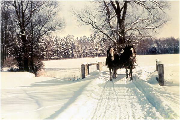 Moosburg, Brcke ber den Schleiferbach Winter 1940