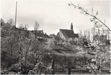 M�nchnerstrasse - G�rten der Michaeli-Siedlung im Fr�hling