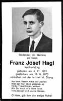 Sterbebildchen Franz Josef Hagl, *04.11.1951 †18.08.1970