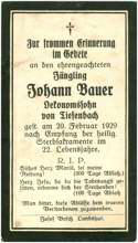 Sterbebildchen Johann Bauer, Tiefenbach, *1907 †1929