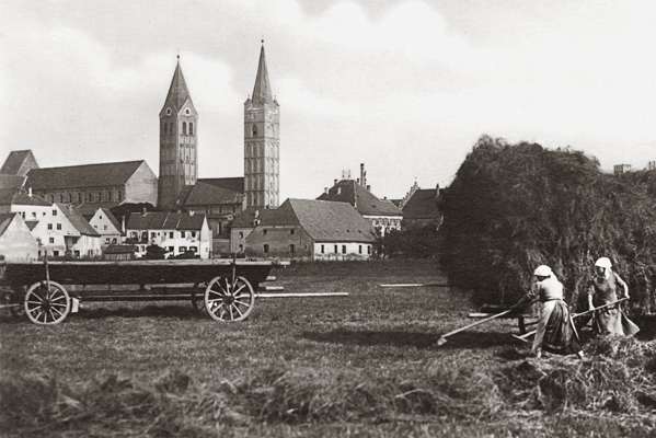Moosburg. Heuernte an der Fron�ngerstrasse