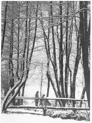 Am Bach in Wang, Winter 1961