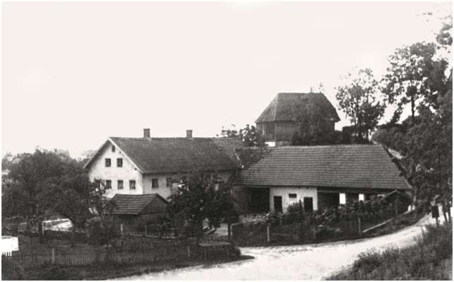 Hirsch Anwesen in Volkmannsdorf