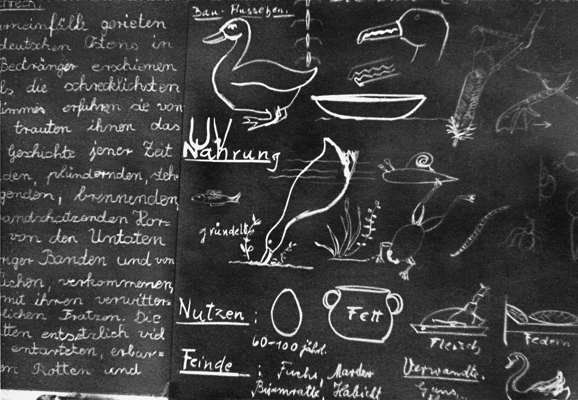 1960, Schule Volkmannsdorf