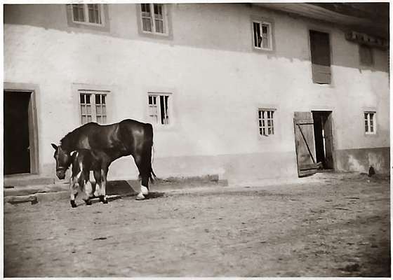 Volkmannsdorf, Ligeder-Hof