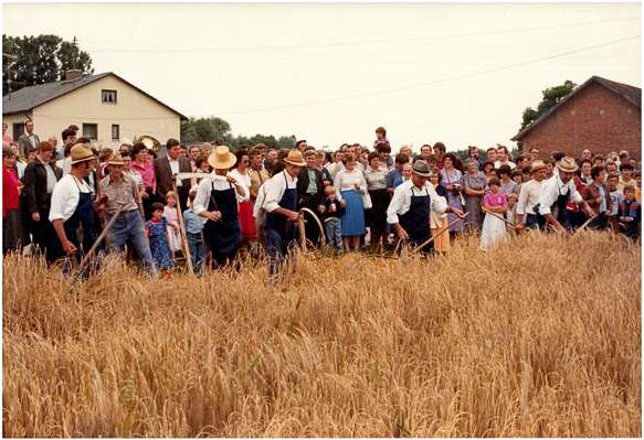 Ernte anno dazumal