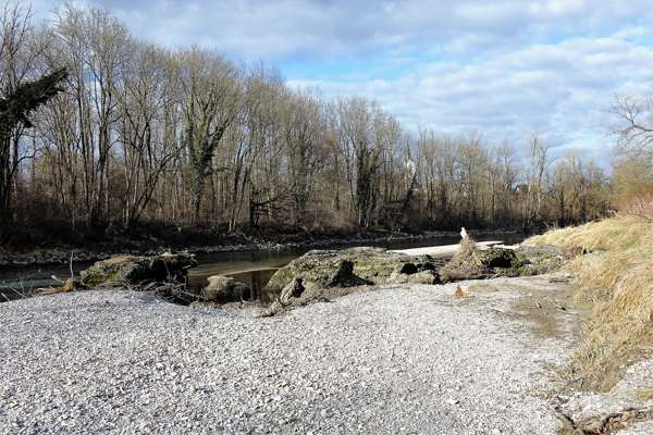 Isar vor Volkmannsdorf, 2021