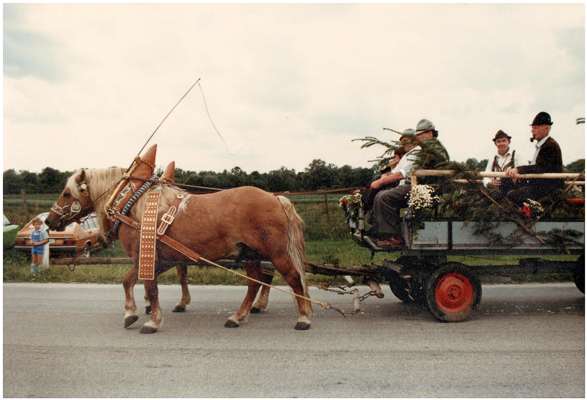 1. Oberbayrische Parade von Altschleppern - 05. Juli 1981