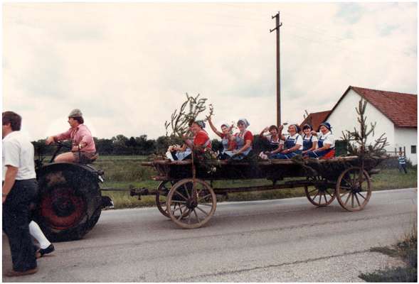 1. Oberbayrische Parade von Altschleppern - 05. Juli 1981