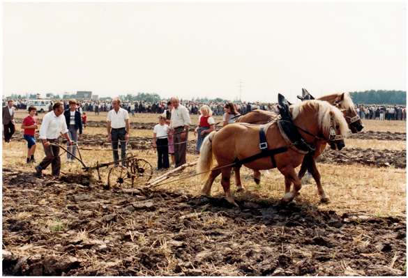 Pfl�gen mit Pferden, 20. - 22. Juli 1984