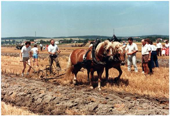 Pfl�gen mit Pferden, 20. - 22. Juli 1984