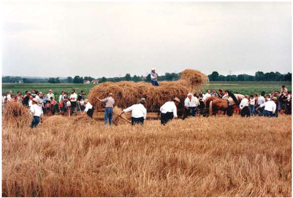 Ernte anno dazumal