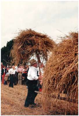 Ernte anno dazumal