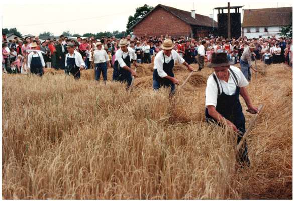 Ernte anno dazumal