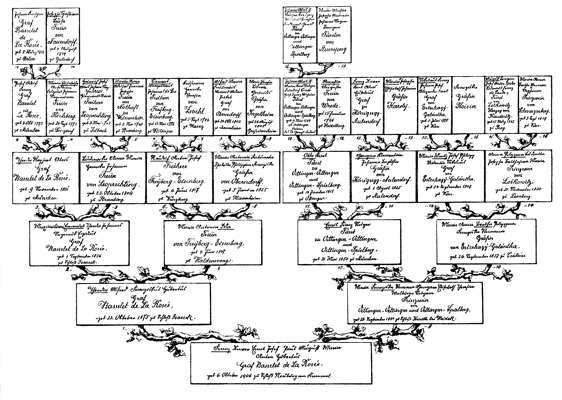 Stammbaum der Grafen von La Ros�e