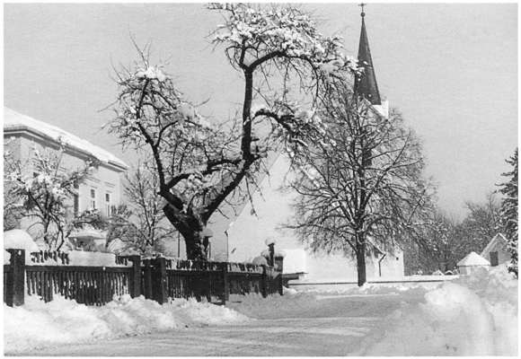 Volkmannsdorf Winter 1961, Blick zur Kirche