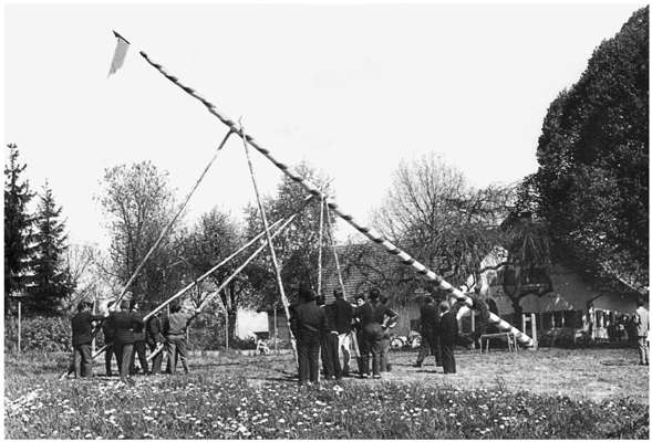 Maibaum beim Schnaitl in Wang