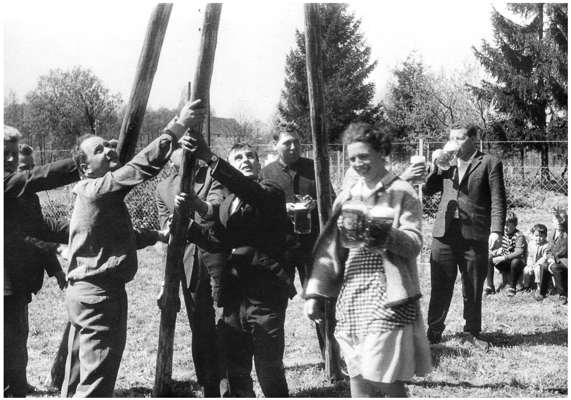 Maibaum beim Schnaitl in Wang