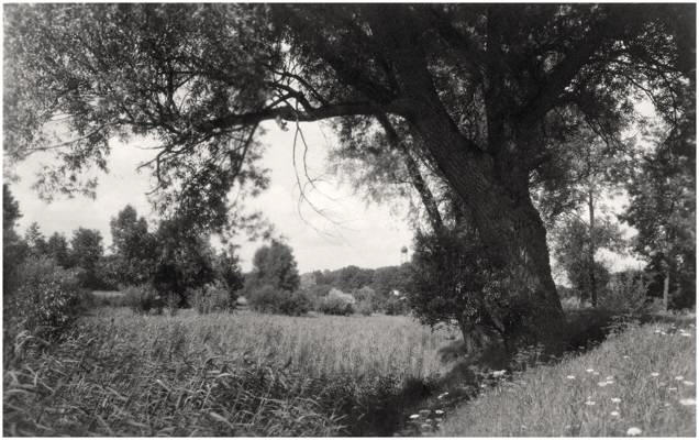 1927 Idylle, im Hintergrund Schlo� Isareck