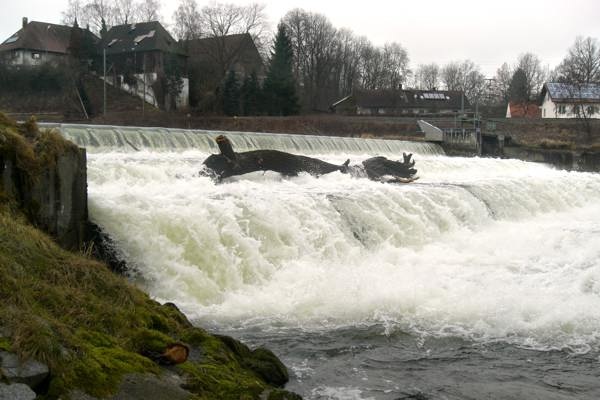 Volkmannsdorf, Blick von der Isar/Amper zum Ligeter-Stadl