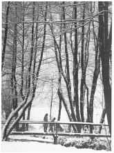 Am Bach in Wang, 1961