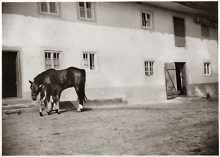Volkmannsdorf, Ligeder-Hof