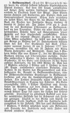 Volkmannsdorf 1934, Das 80. Wiegenfest - Ligederb�uerin Theres Lachner *23.04.1854 †26.03.1939