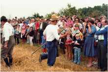 Karl Stangl und Sepp Herzog bei der Ernte