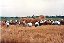 Ernte anno dazumal