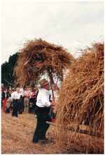 Ernte anno dazumal