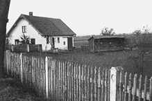 Bienenstand in der Volkmannsdorferau in den 1940ern