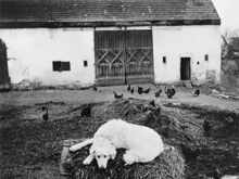Scheune Neum�ller-Anwesen, Isareck ?