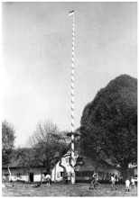 Maibaum beim Schnaitl in Wang