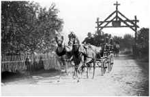 7. Juli 1928 Empfang des Primizianten Johann Oberhauser