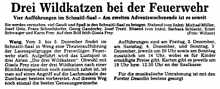1982 Theatergruppe der FFrw. Wang: „Drei Wildkatzen“